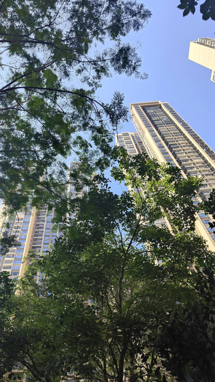 小区内的景色 随手拍的风景照 随手拍你的城市 小区随手拍风景