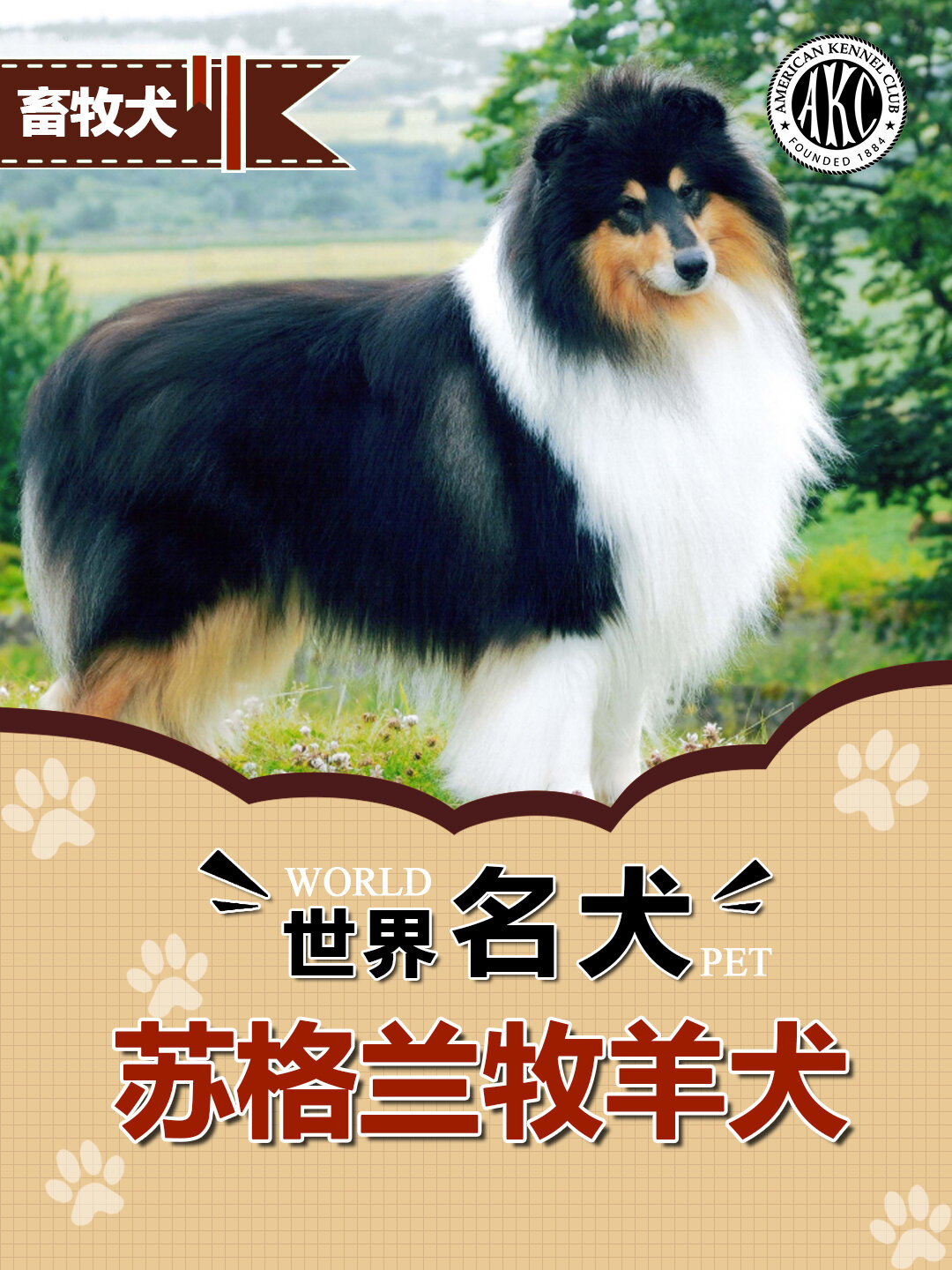 n.027世界名犬