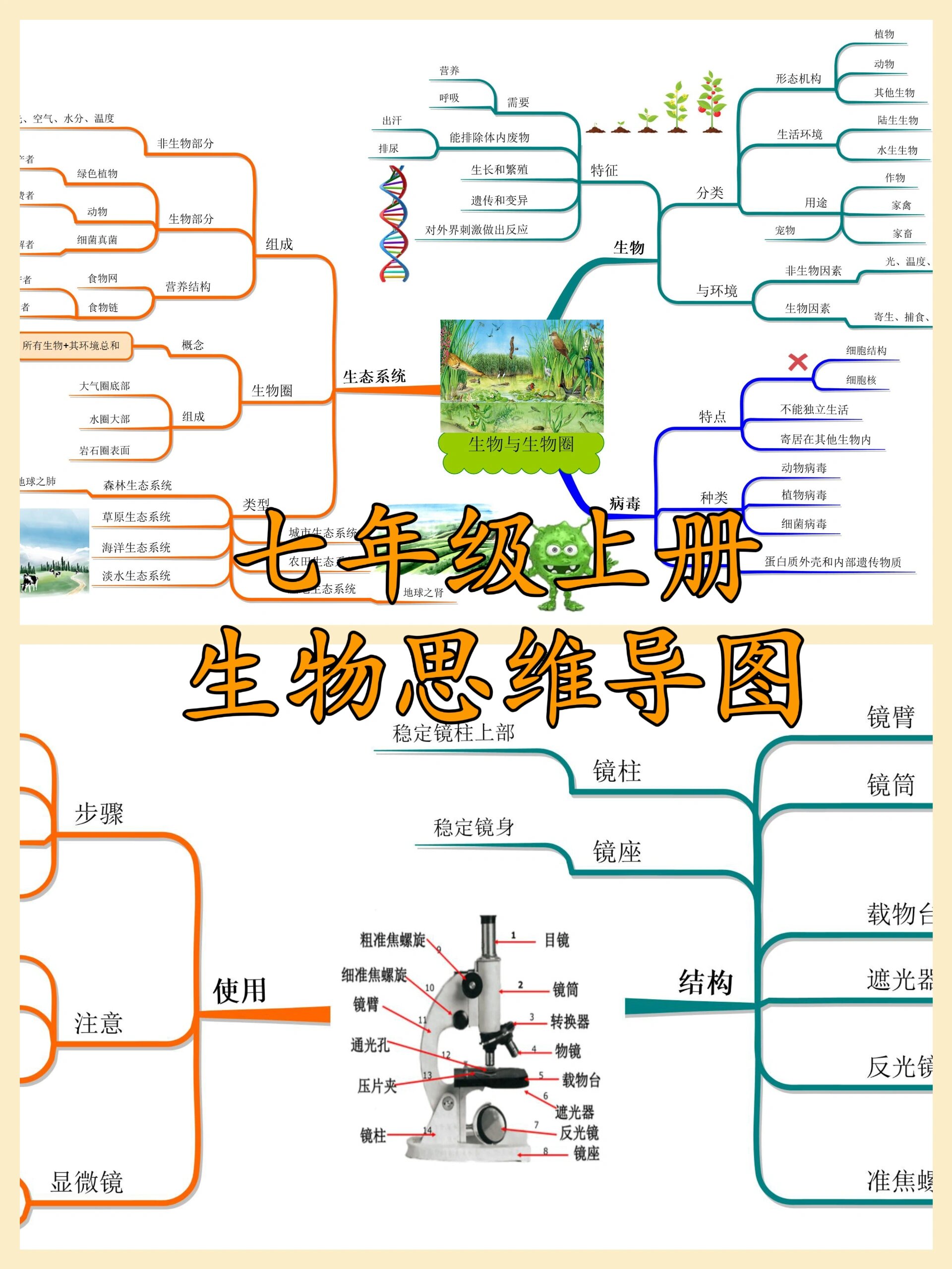 七年级上册生物思维导图