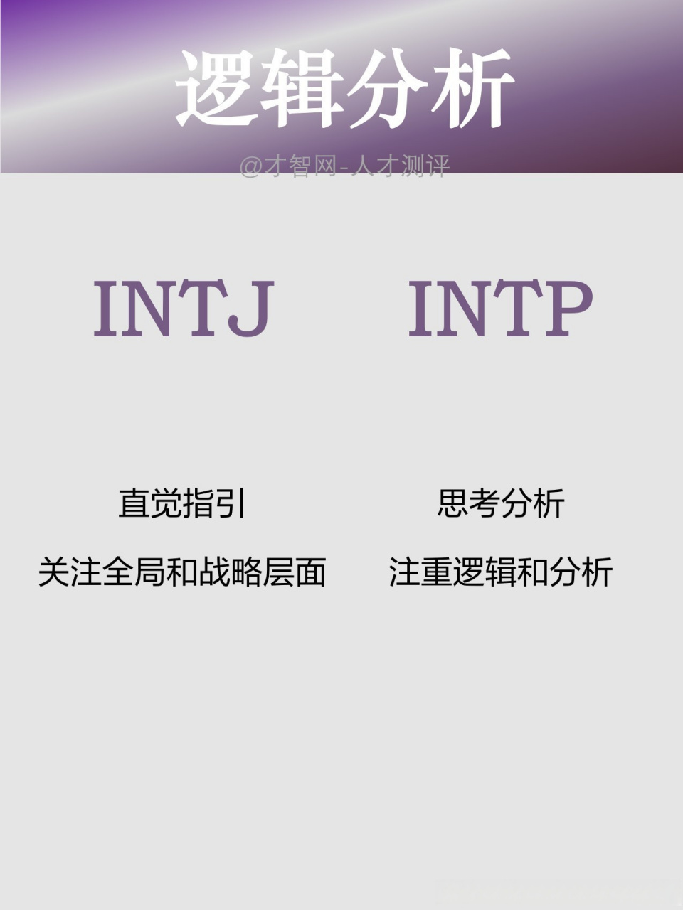 intp 4w5图片