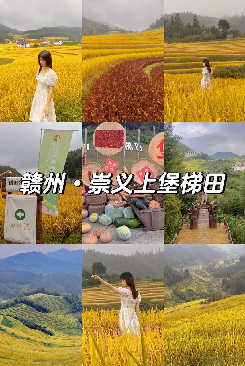 崇义上堡梯田旅游攻略|赣州旅游景点推荐 9010.1-10.