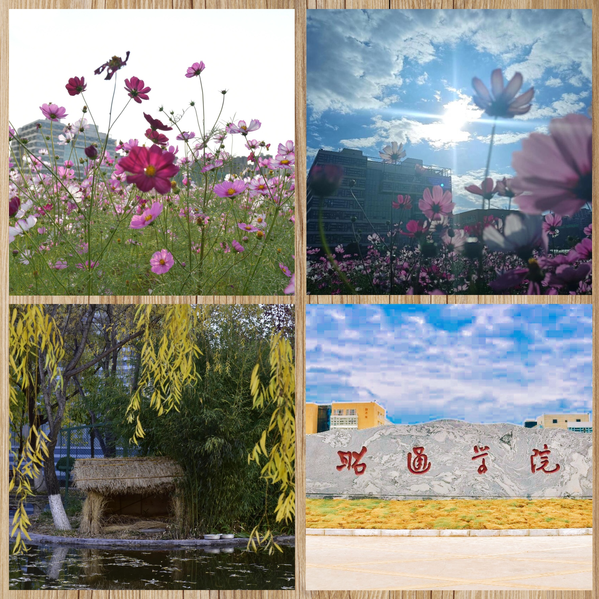 昭通学院全解析一看便知