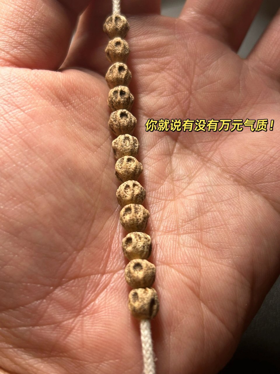 几百块自己做一条热振原桩尸陀林百香籽 重头戏来了,市面上稀缺的货就