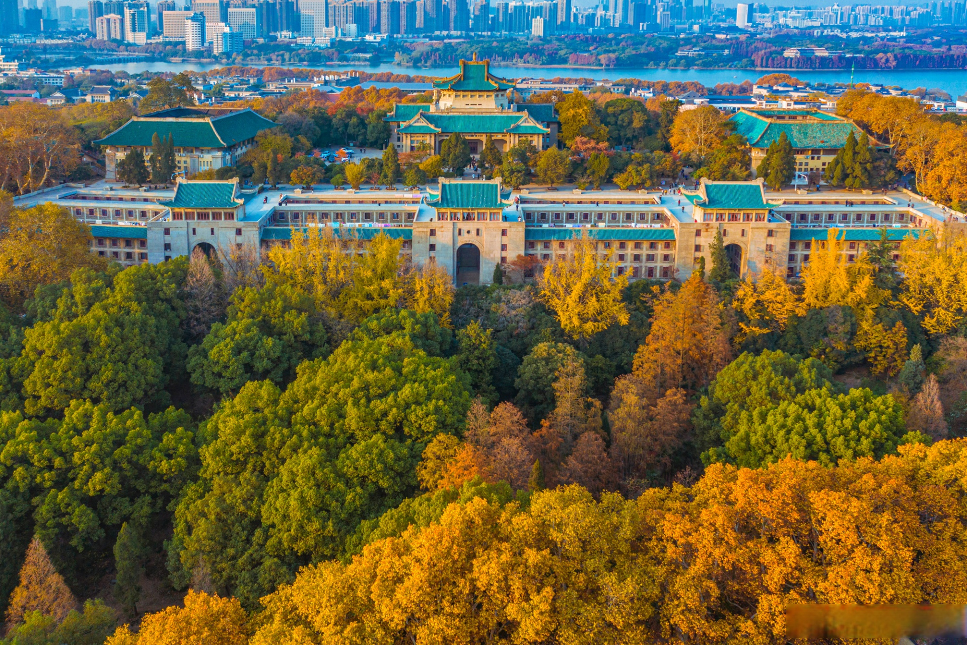 武汉大学130周年校庆# 东湖之滨,珞珈山上 巍巍学府,作育英才 深耕