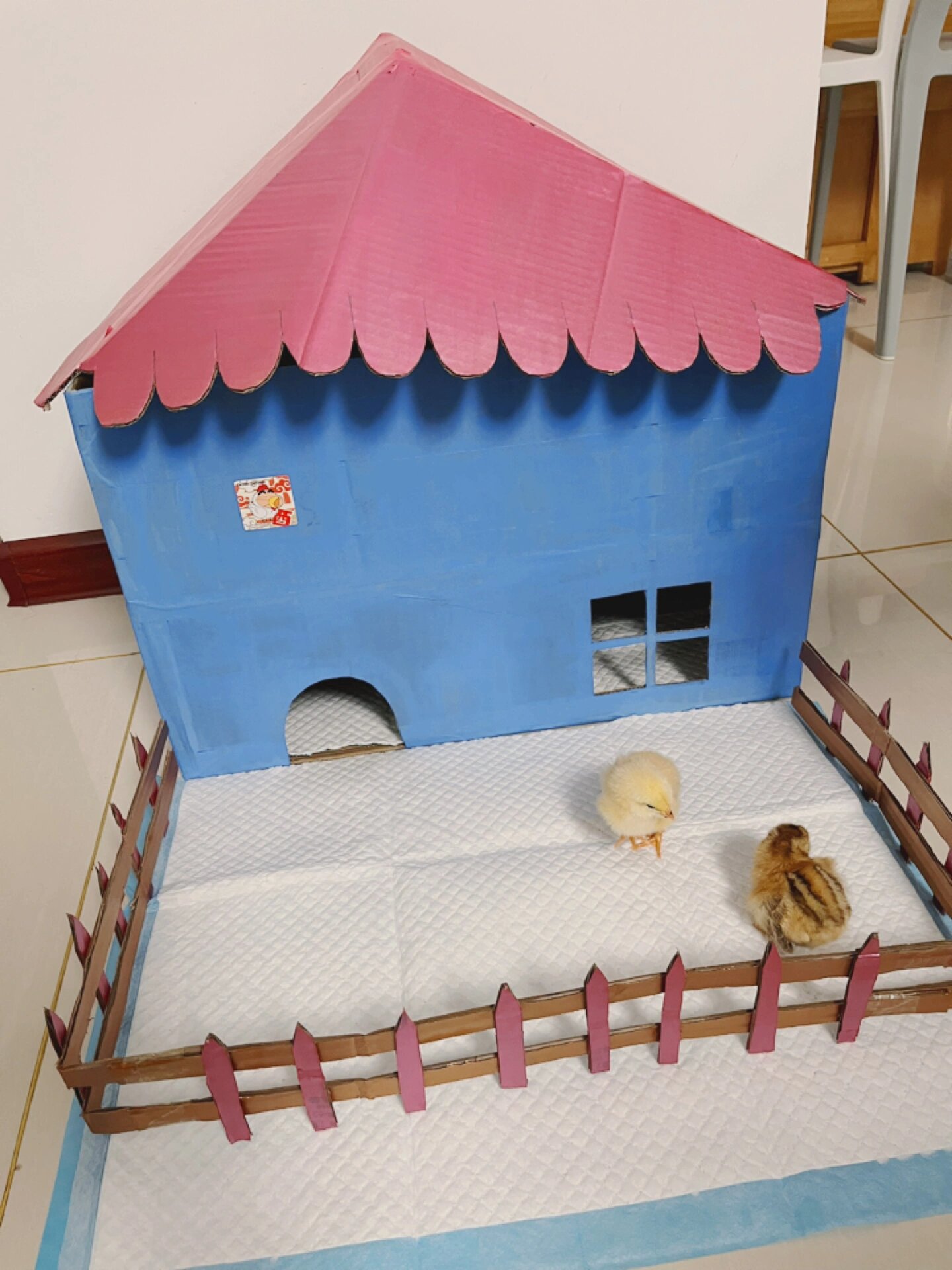 给小鸡崽子建房子
