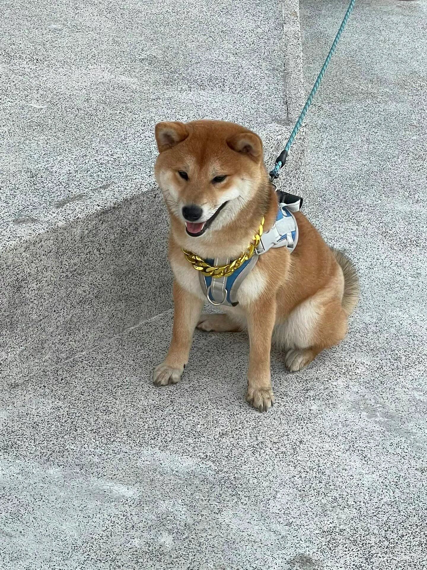 blued是治愈的颜色97