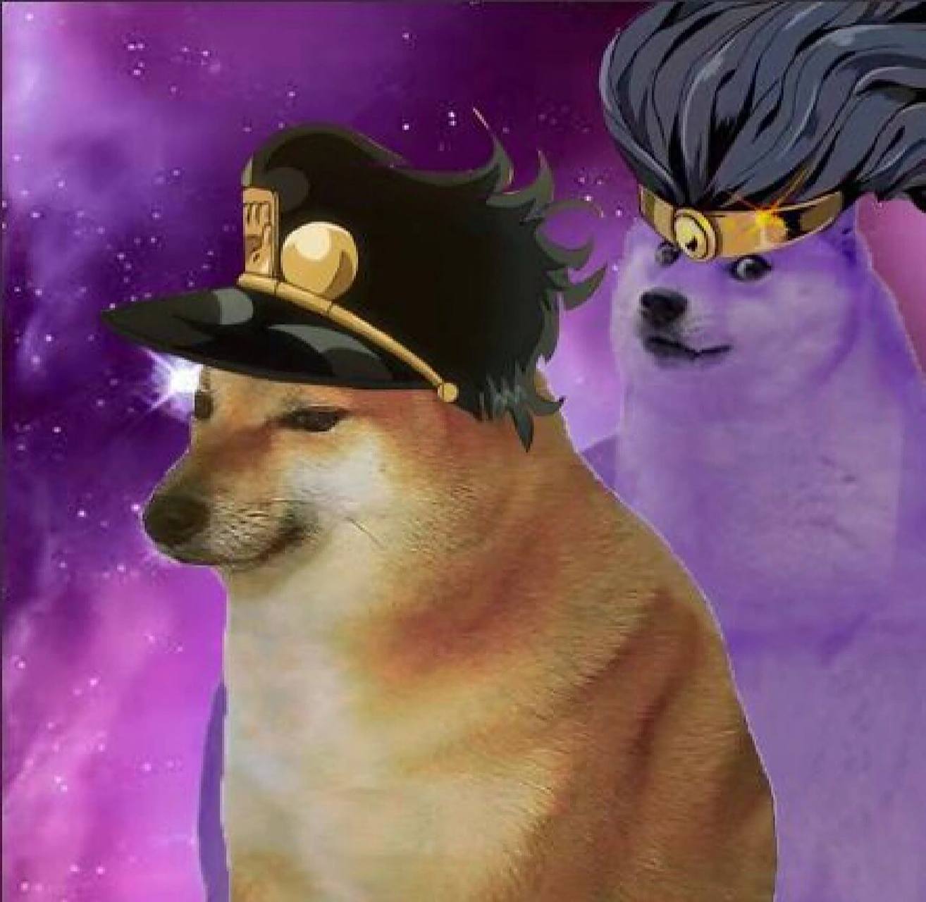 cheems72空条承太郎(白金之星) 双厨狂喜