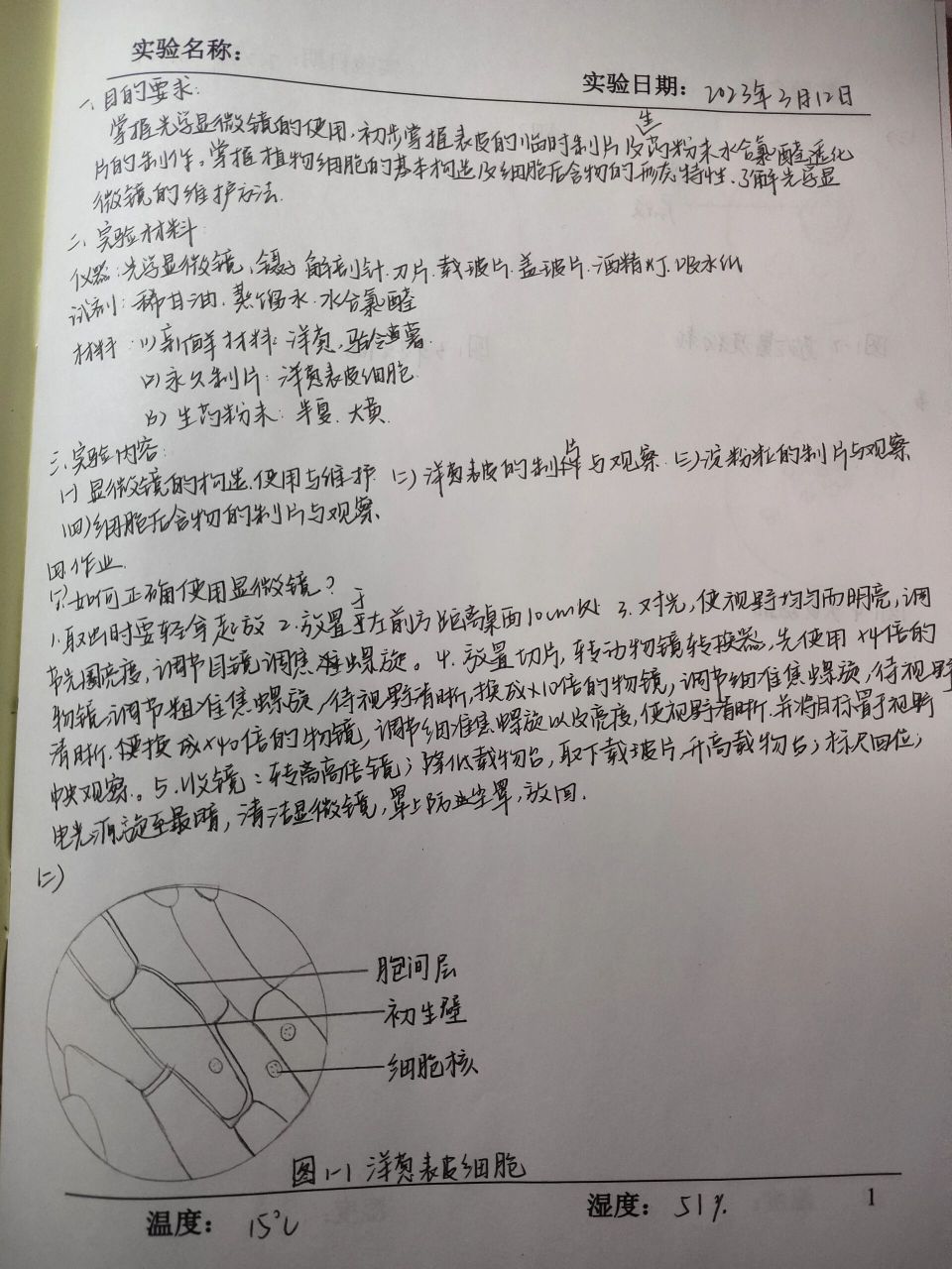 显微镜下观察洋葱表皮,马铃薯淀粉粒,晶体          药用植物学实验