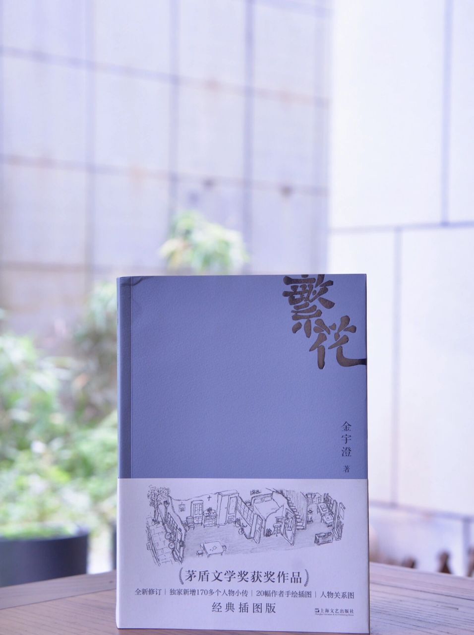 繁花似锦终是空|王家卫新剧上映前来读原著 由金宇澄所著,王家卫买下