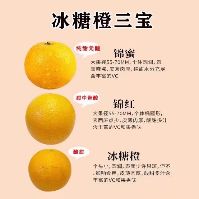 麻阳冰糖橙 麻阳冰糖橙开卖了   纯甜无酸  68十斤包邮