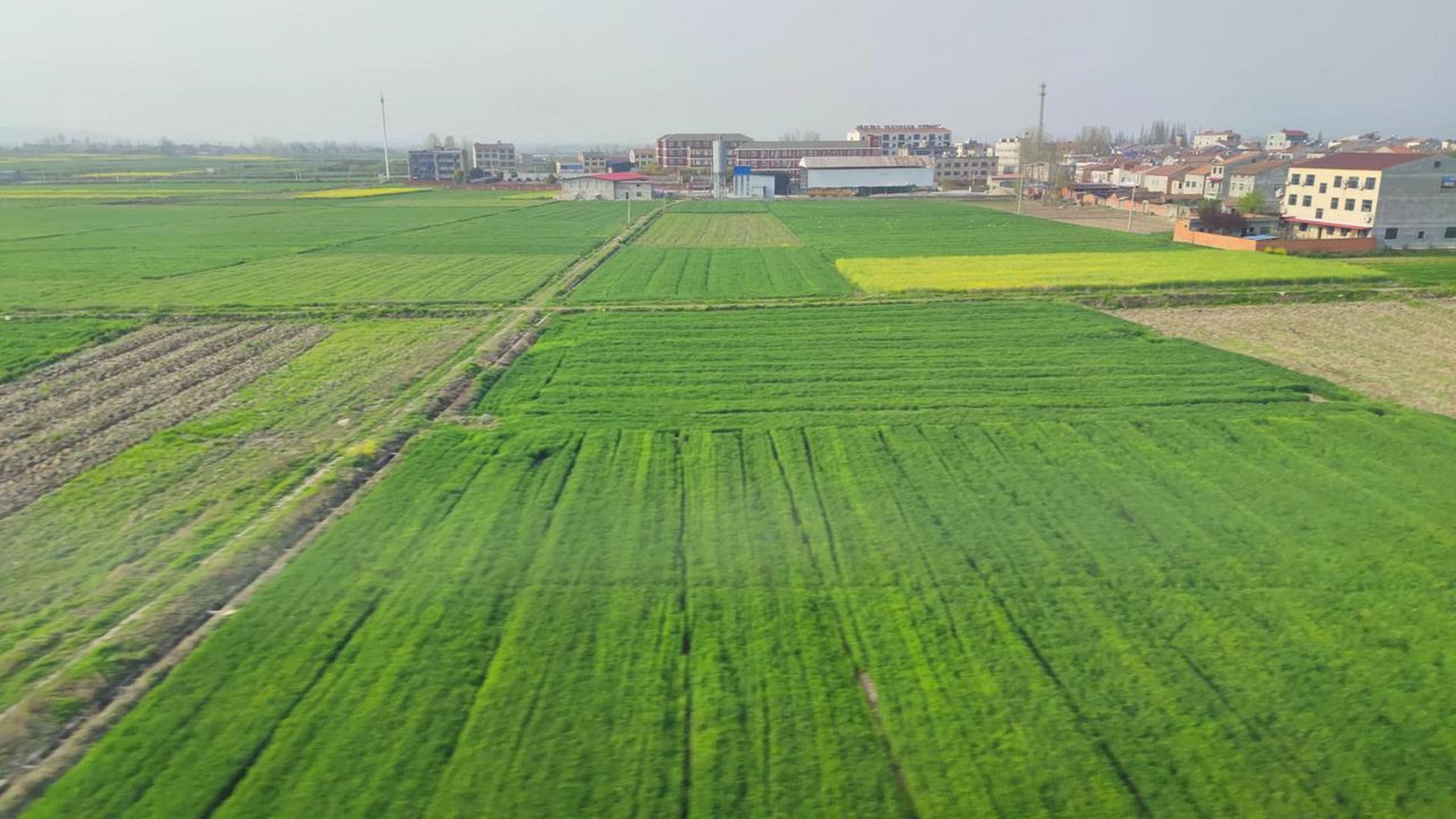 不得不说,论耕地的保护程度,这可比成都平原强太多了!