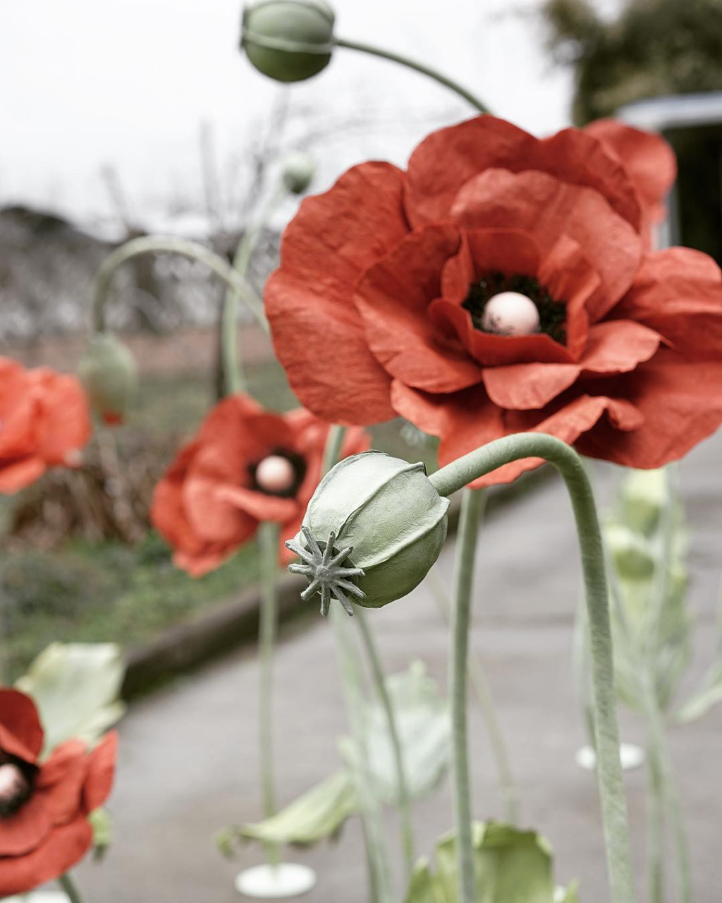 抵抗不了的纸艺罂粟花6015太漂亮太好看 #手工