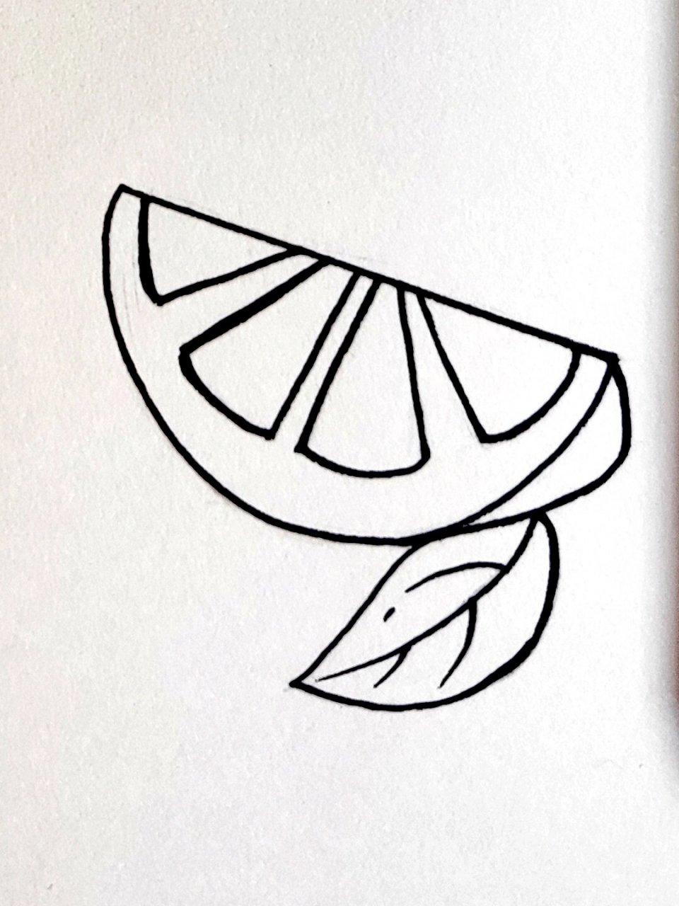 零基础简笔画  day5  柠檬93 今天画一组简笔画~柠檬93