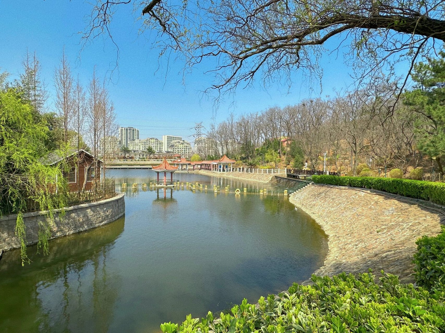 青岛遛娃~北岭山森林公园游园攻略 94  青岛遛娃~北岭山森林公园