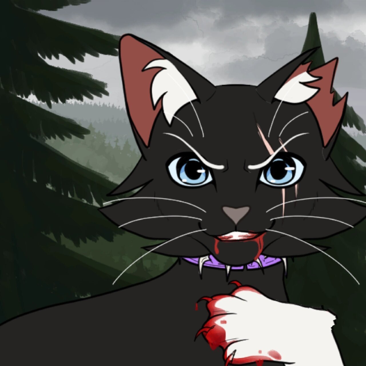 猫武士长鞭 长鞭是一只瘦小的黑色公猫,他在小的时候总是被他的哥哥和