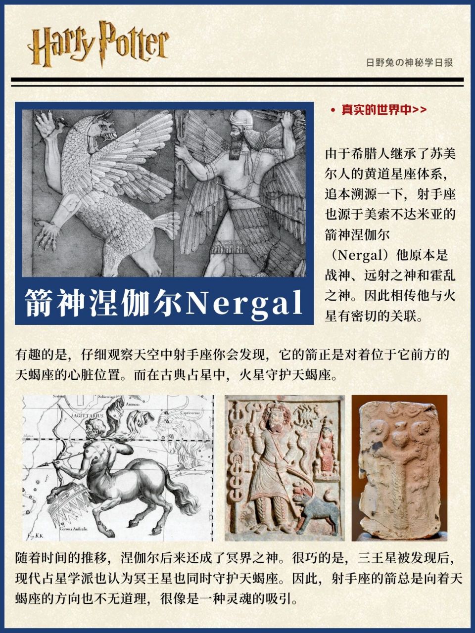 9696 如果不是费伦泽,哈利61波特在《魔法石》的禁林中初次遇到