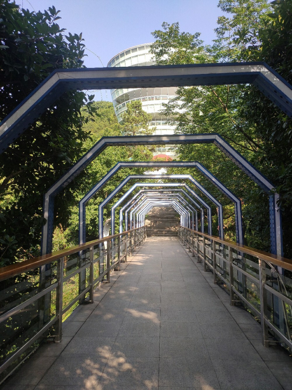 漫游重庆74必打卡南山一棵树 82南山一棵树观景台 地址:位于重庆