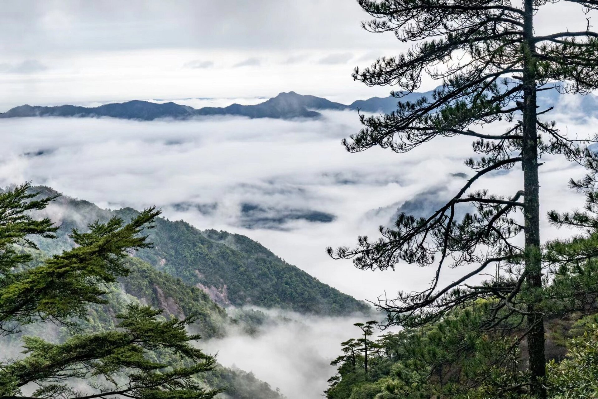 青山云海疑为境,云颠红尘始为仙.