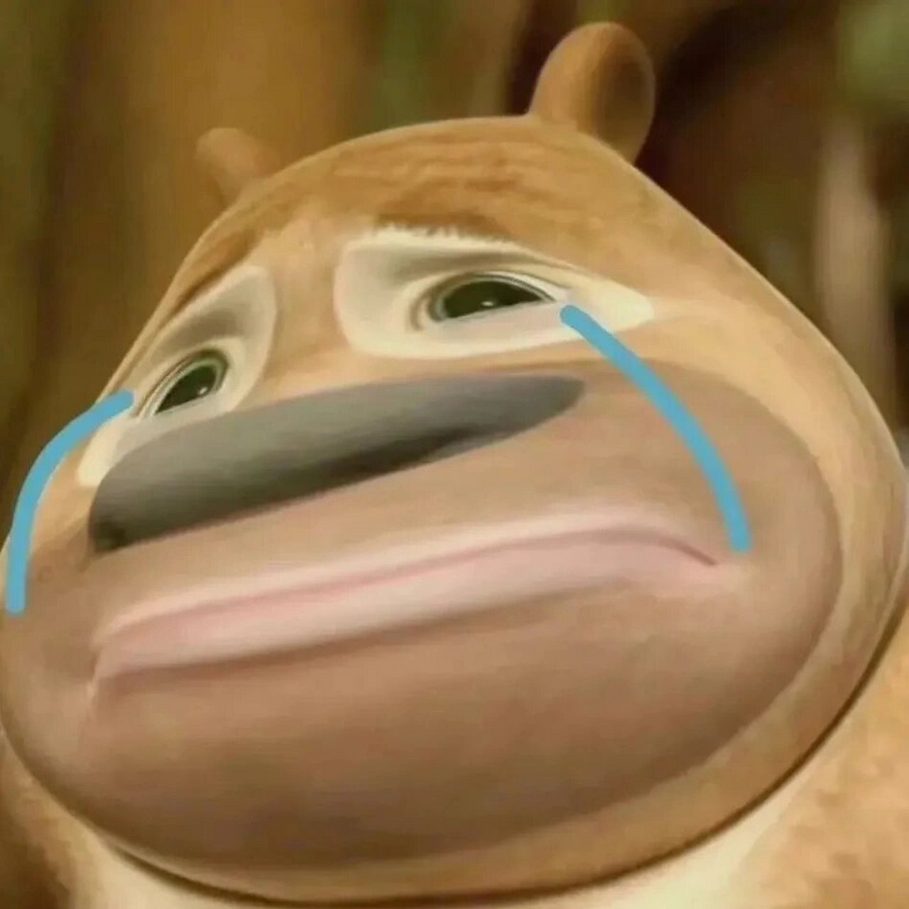 怎么这些题的多血质和胆汁质怎么就这么奇葩!