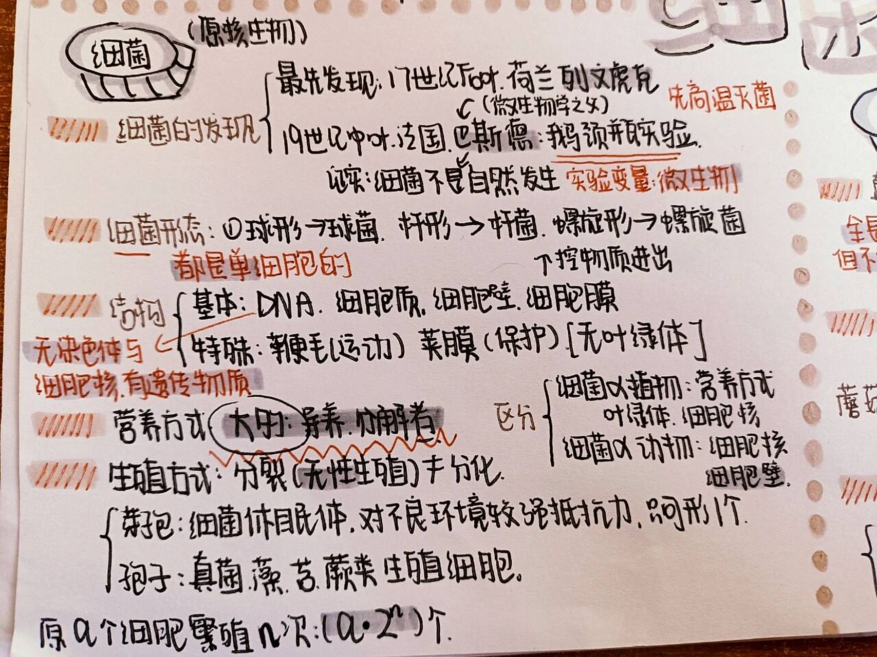 八上生物思维导图第四章细菌和真菌 第五单元第四章