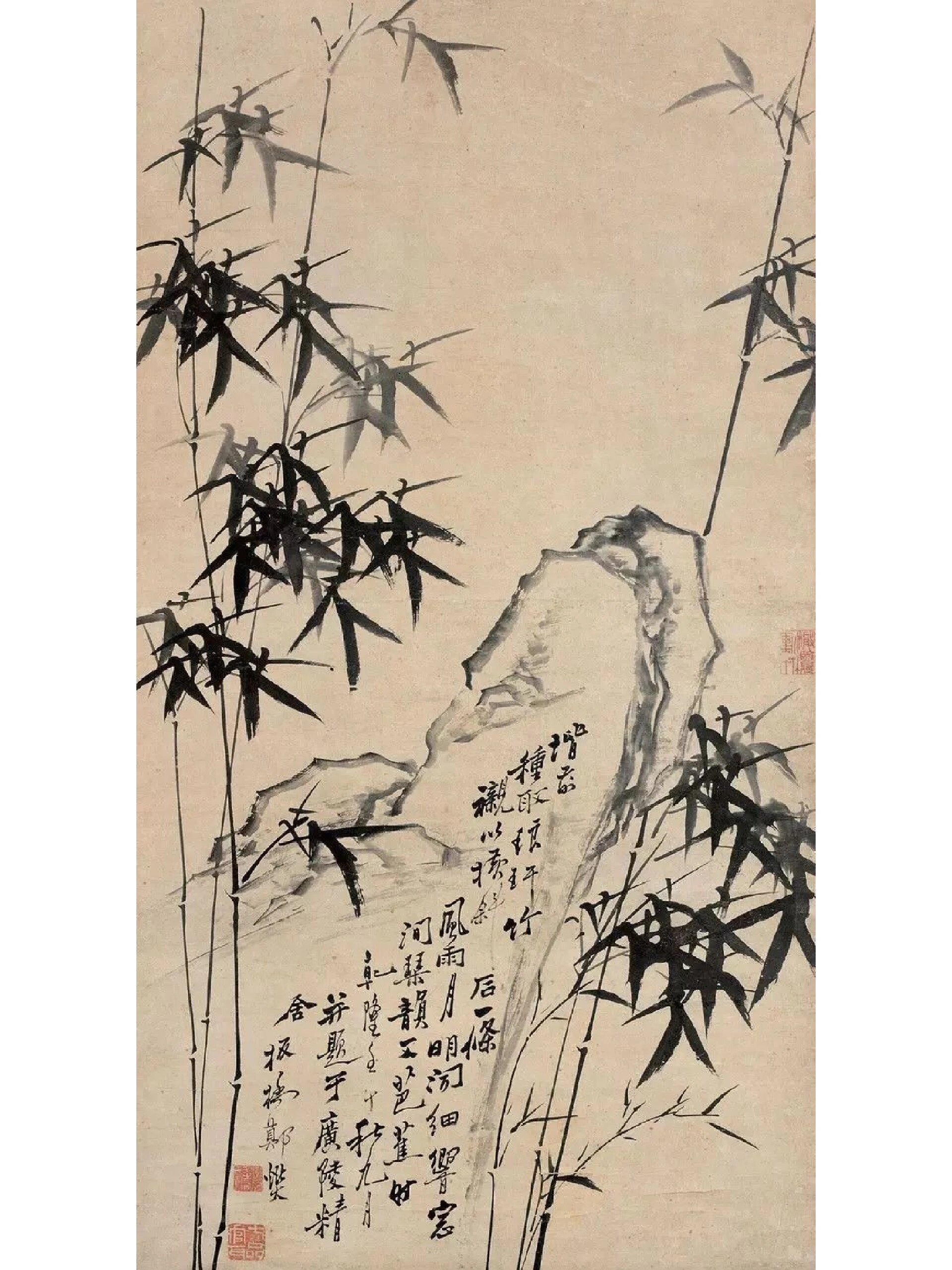 清代著名画家郑板桥的花鸟画兰花竹子,清新雅致