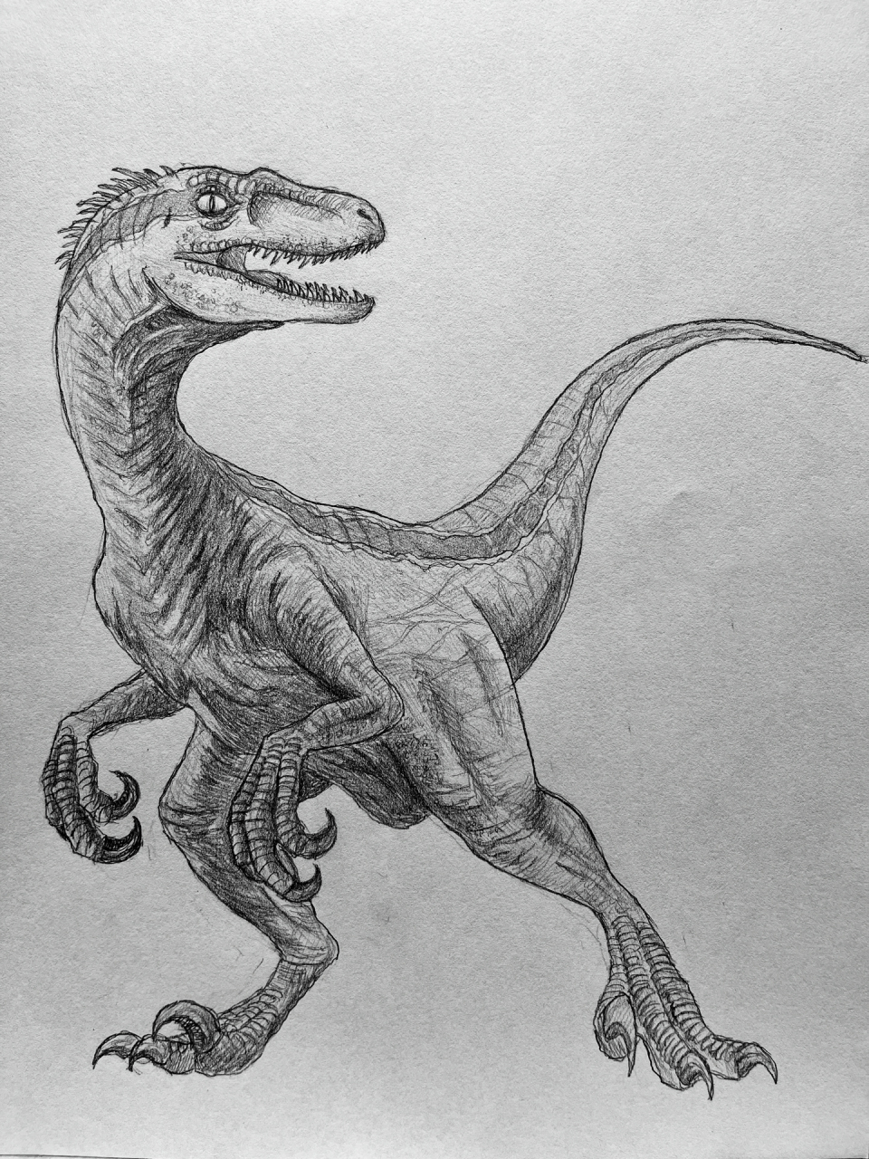 blue 很久没画恐龙了