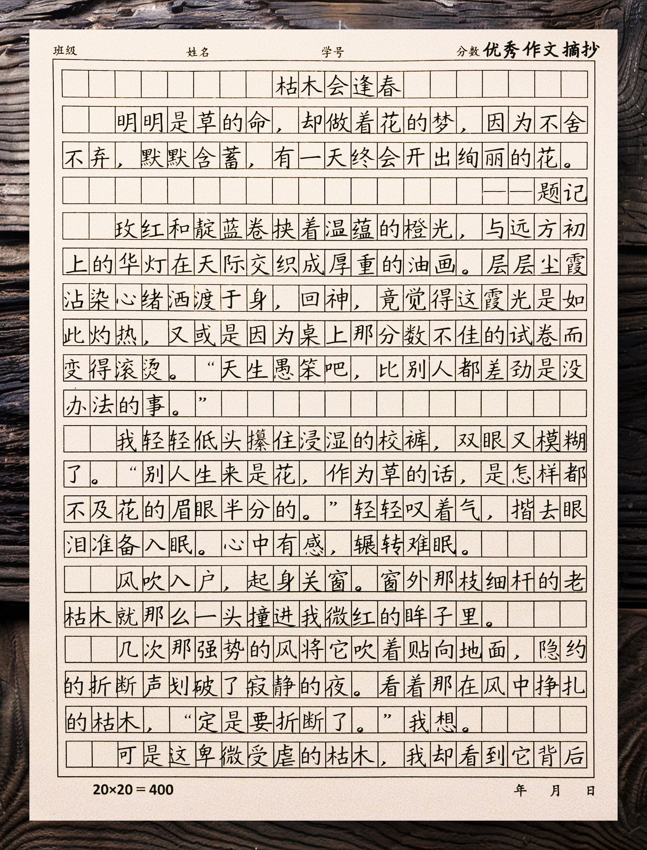 《重生之枯木》