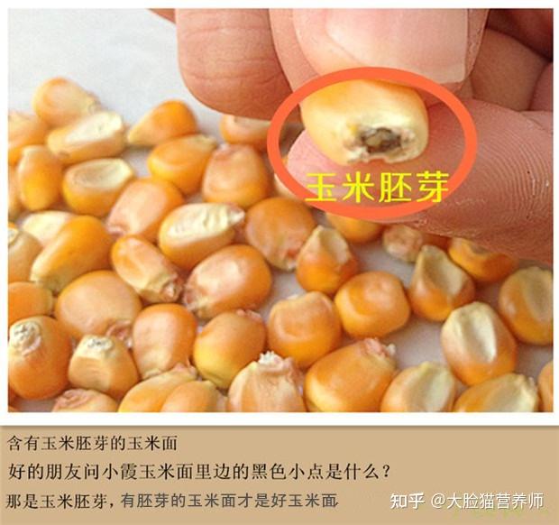 吃玉米为什么要吃胚芽