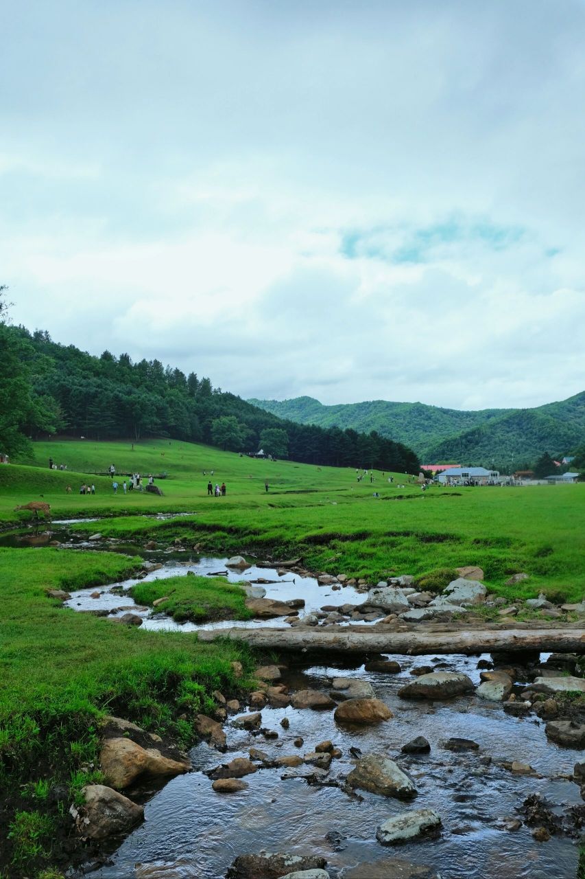 伊春金山屯九峰山图片