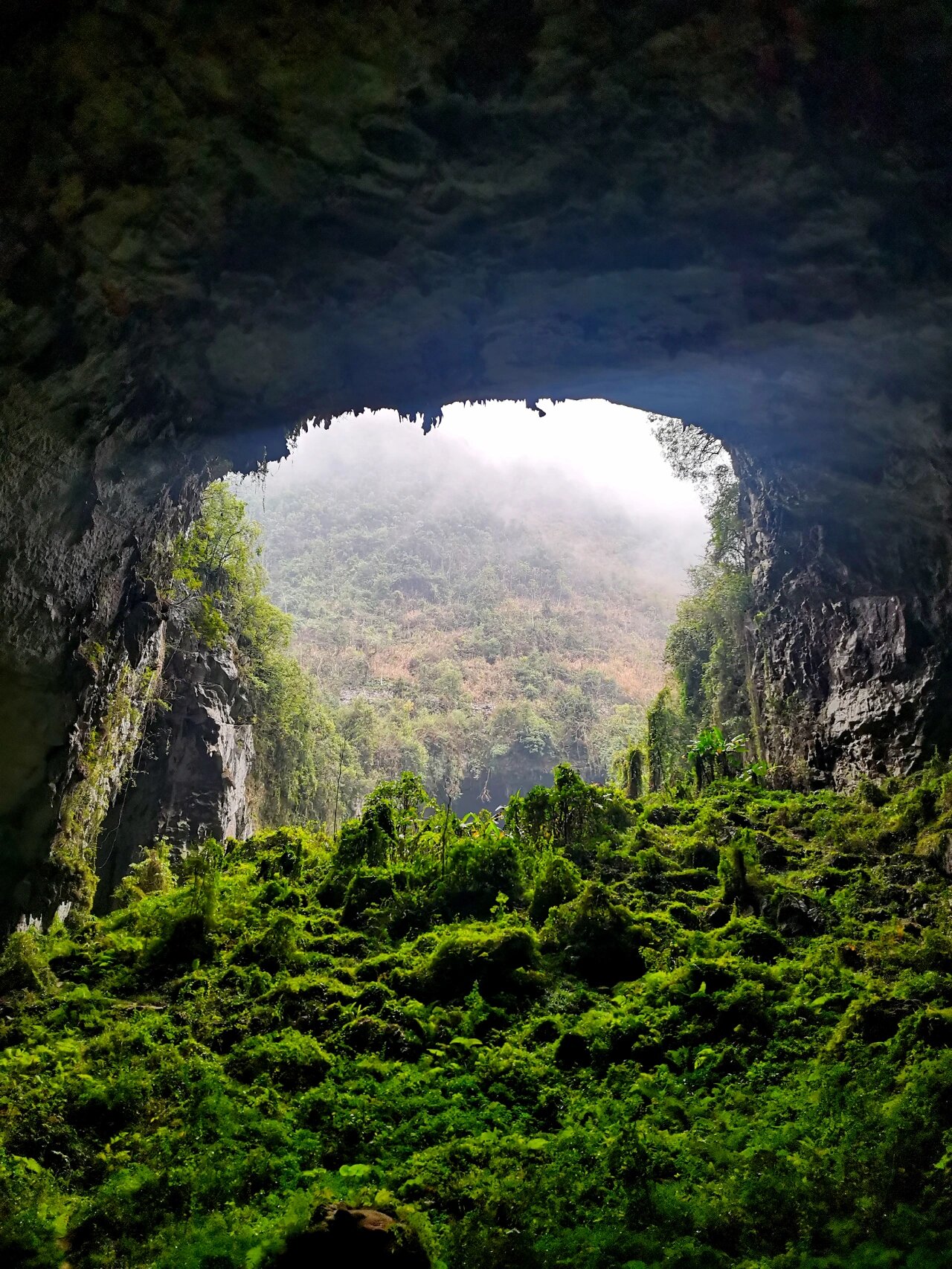 凤山县江洲乡那林村图片