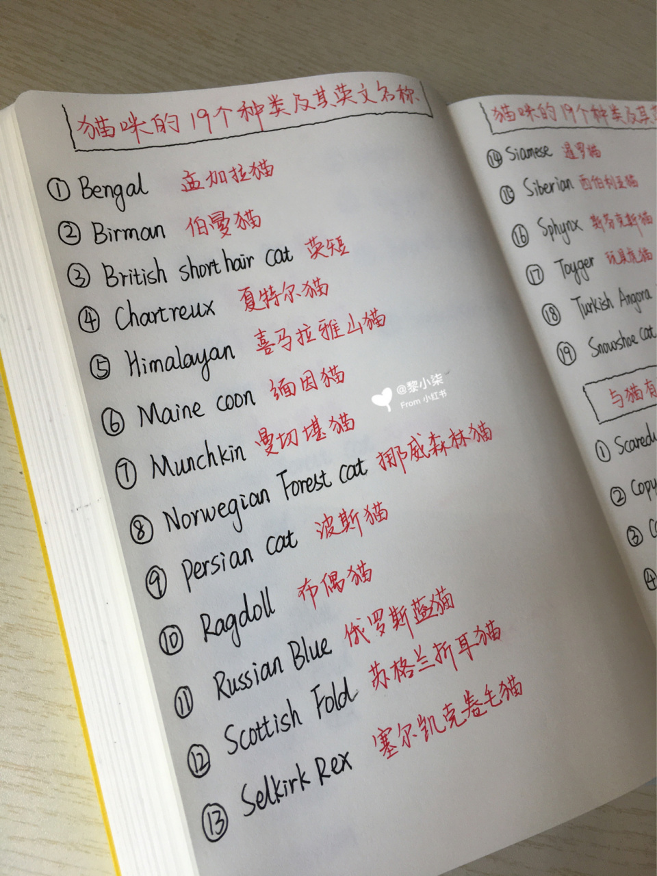 猫咪和狗狗的种类英文名称 | 相关俚语 ——94—— [庆祝]周末愉快