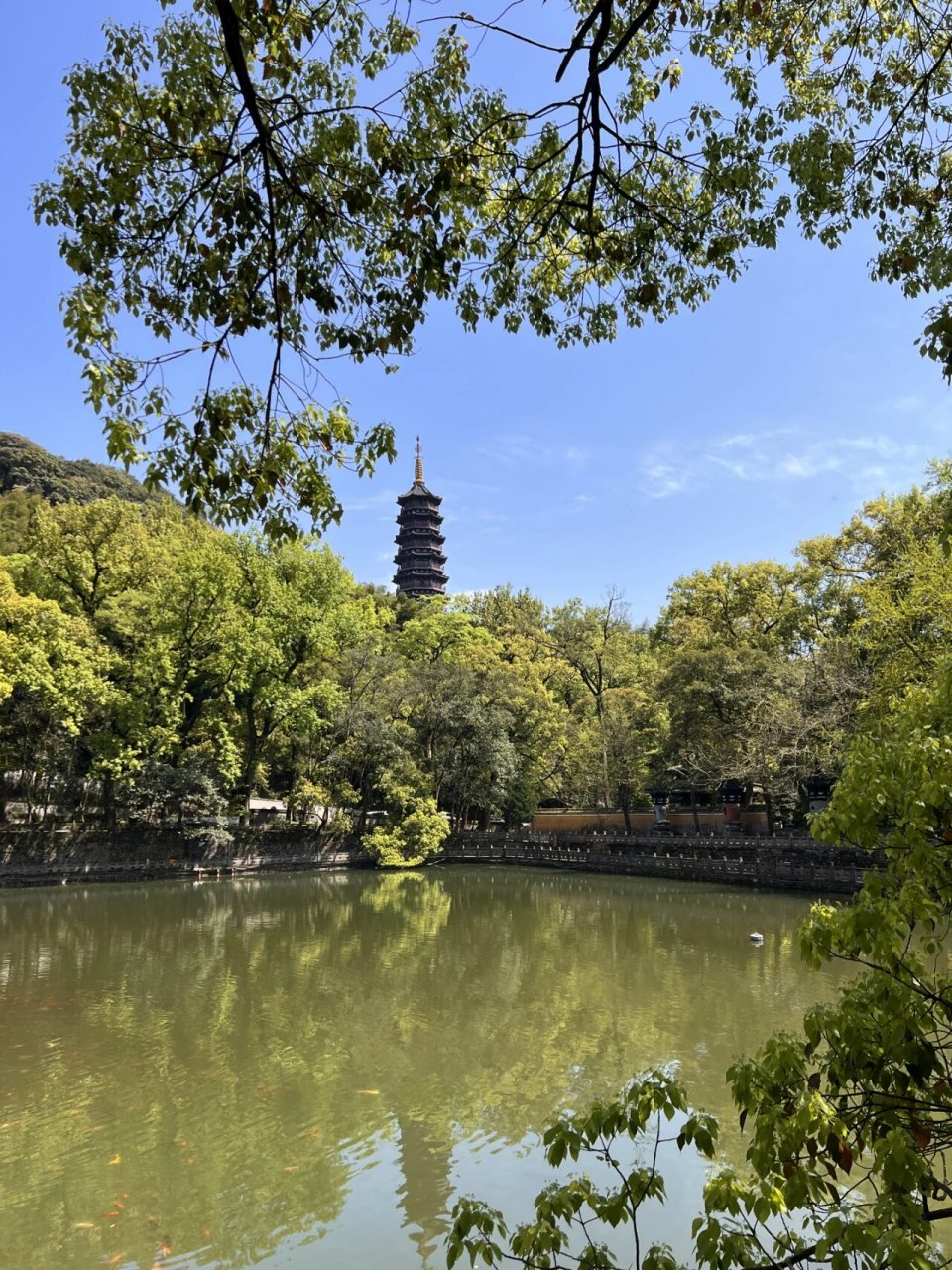 家人们谁懂啊,宁波周末出行必经圣地天童山 宁波出游|天童寺-天童山