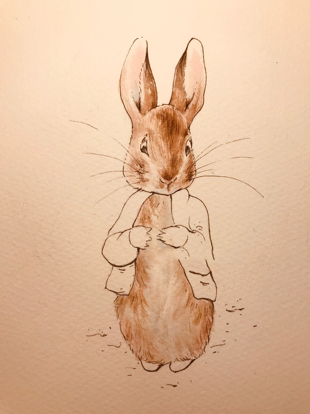 水彩插画 彼得兔过程图来了