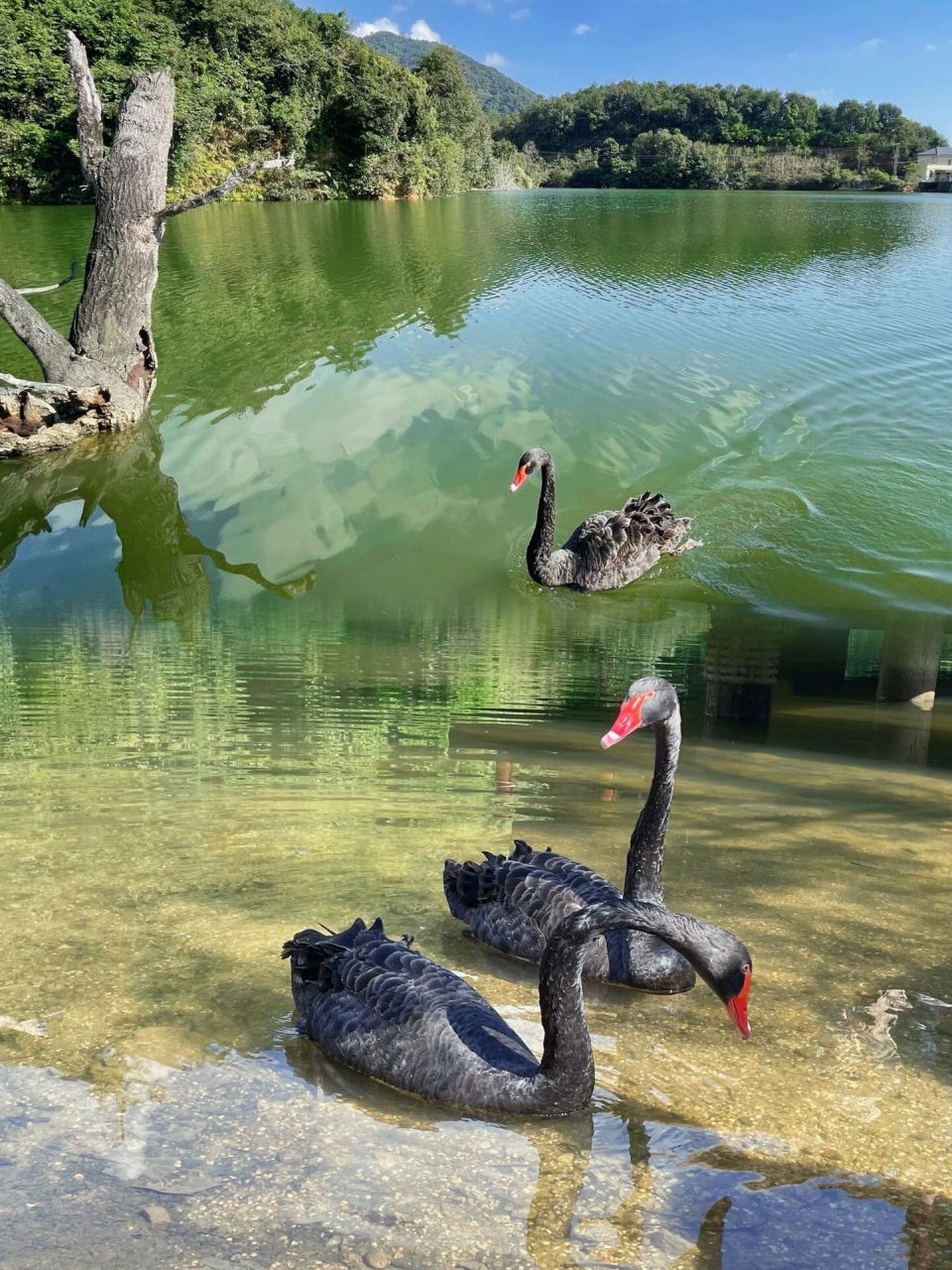 惠州博罗县天心湖 | 藏于罗浮山脚下的仙境 99自驾导航至延祥古寺