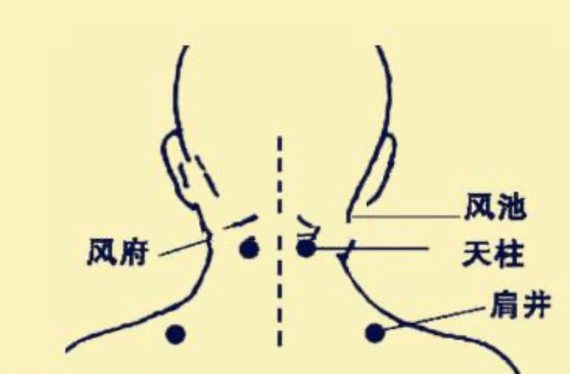 05 后发际正中直上1寸,两斜方肌之间的凹陷中.