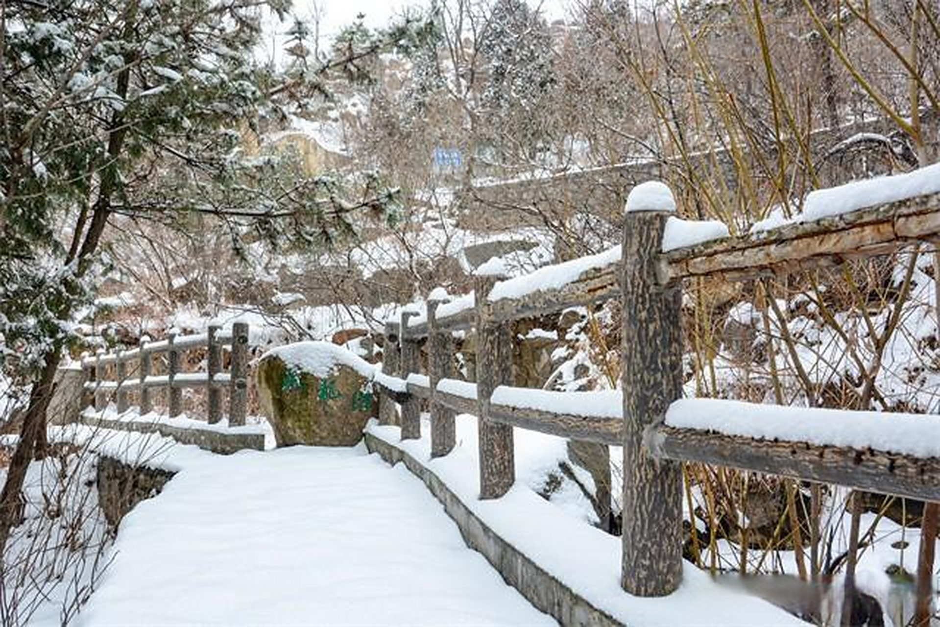 山东滕州龙山胜景的美:雪后的滕州龙阳镇龙山景区,白雪覆盖,一片银装