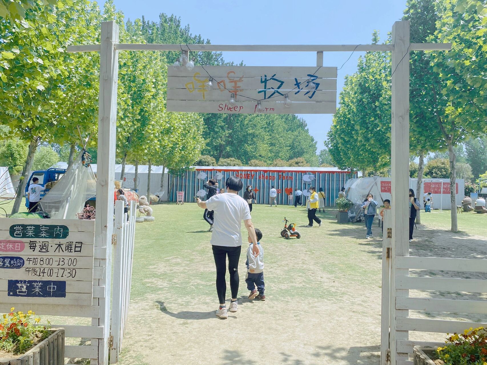 亳州网红打卡地|亳州植物科普园90 06今日分享 99坐标:亳州植物