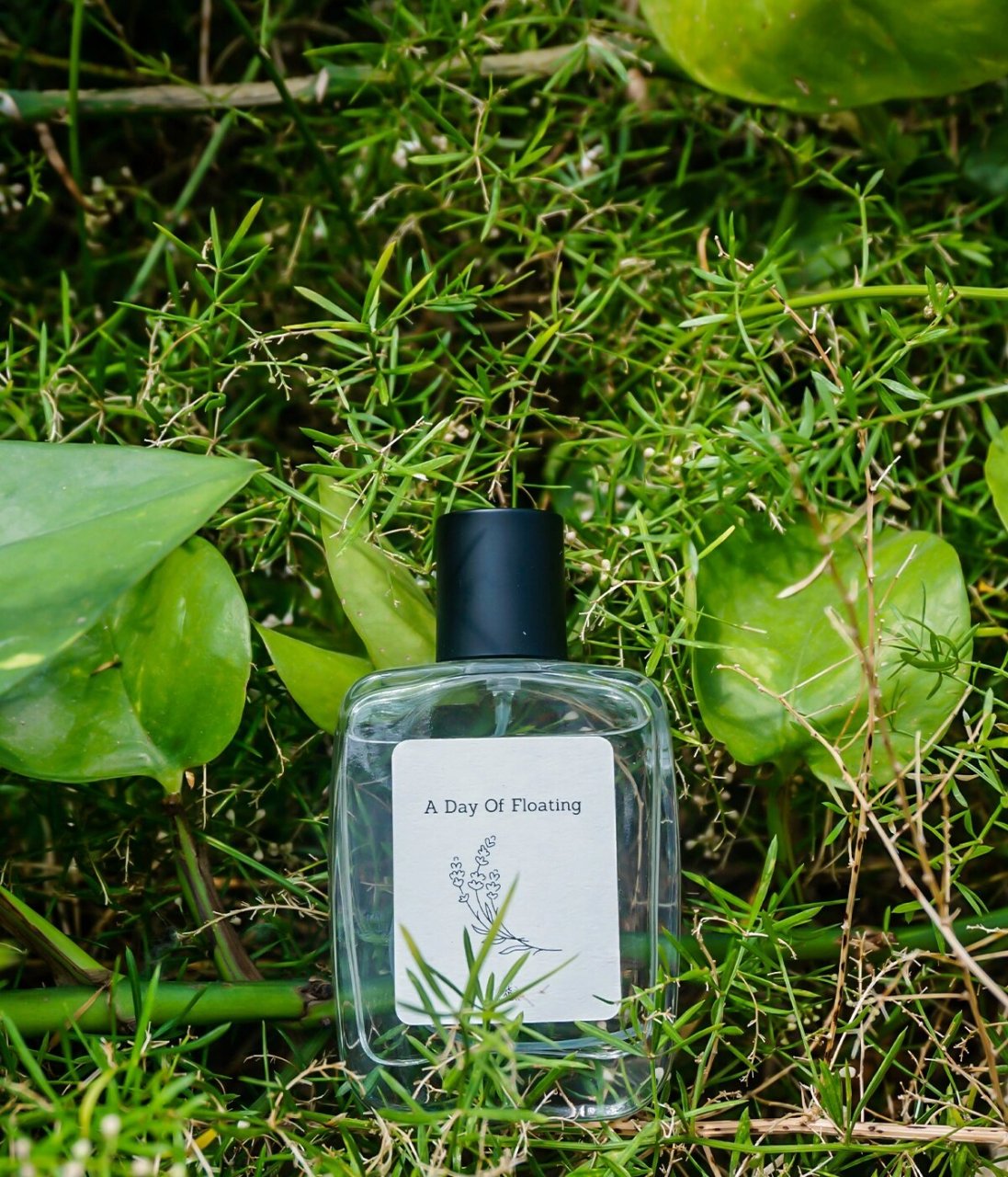 一句话香评-雨后森林的味道 充斥着草本植物的气息,森林中流淌的小溪