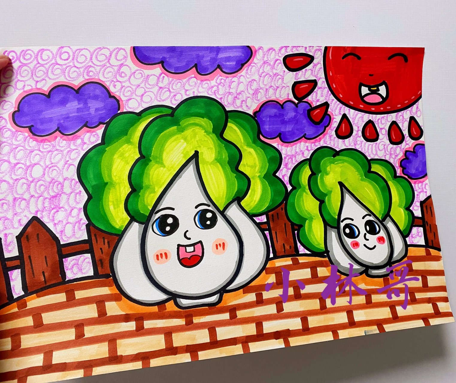 白菜 蔬菜 创意画