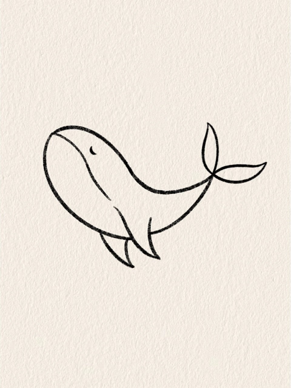 鲸鱼画法简笔画步骤图片