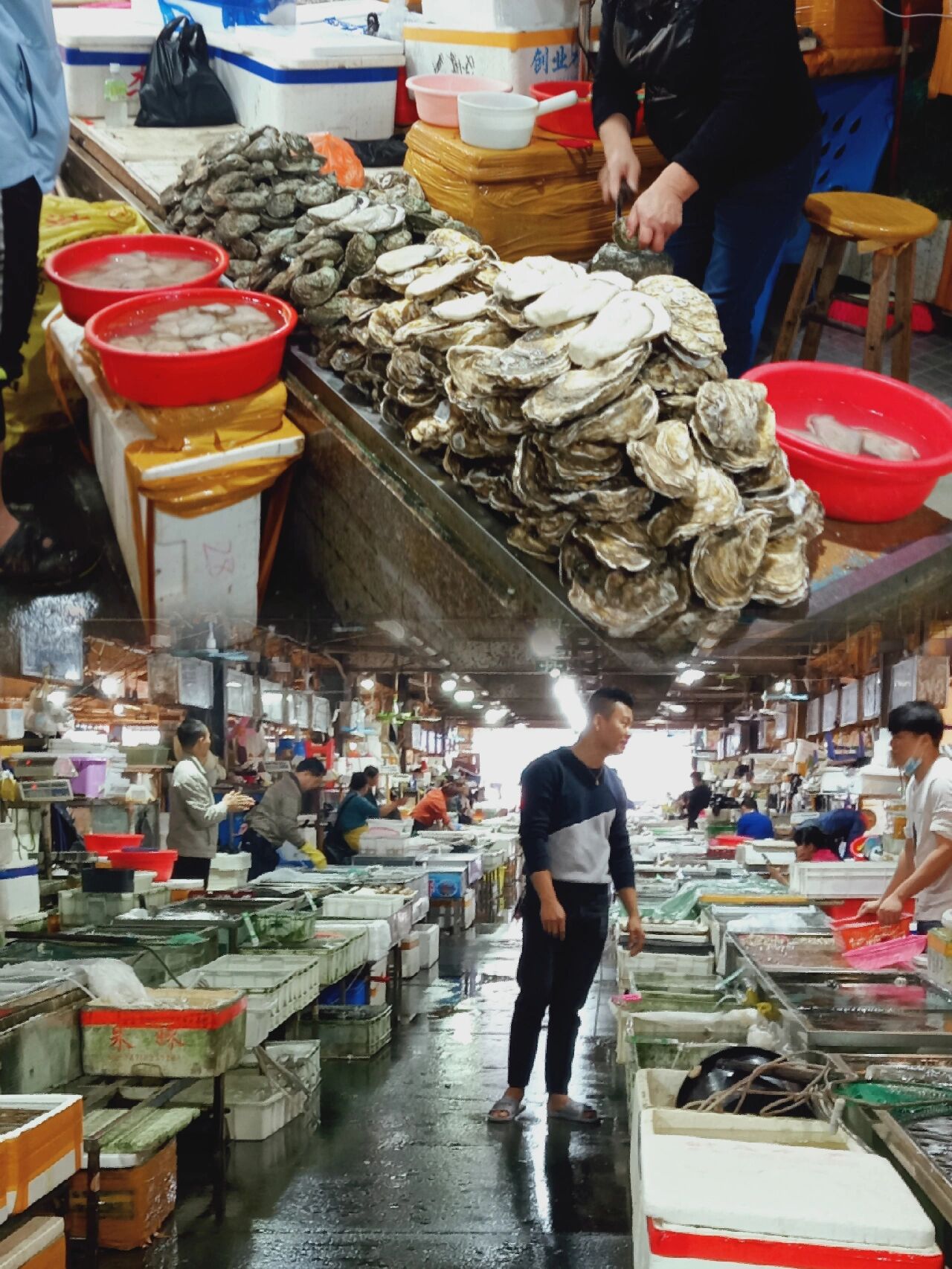 湛江海鲜|霞山最大海鲜市场游