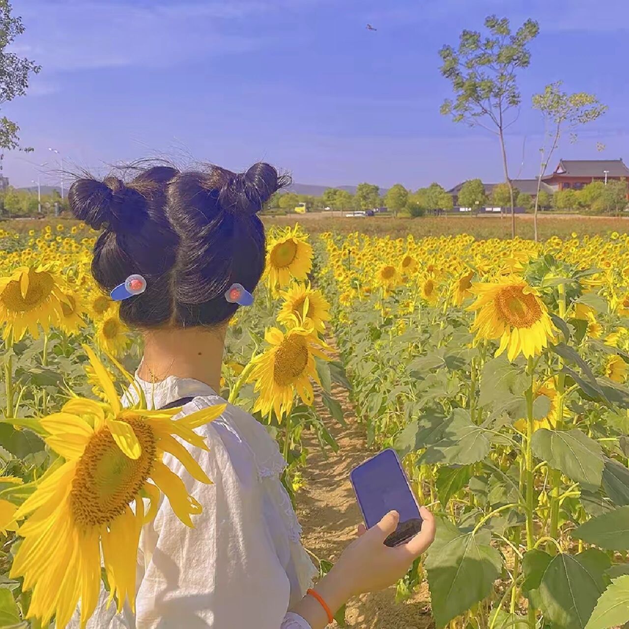 超好看的向日葵头像