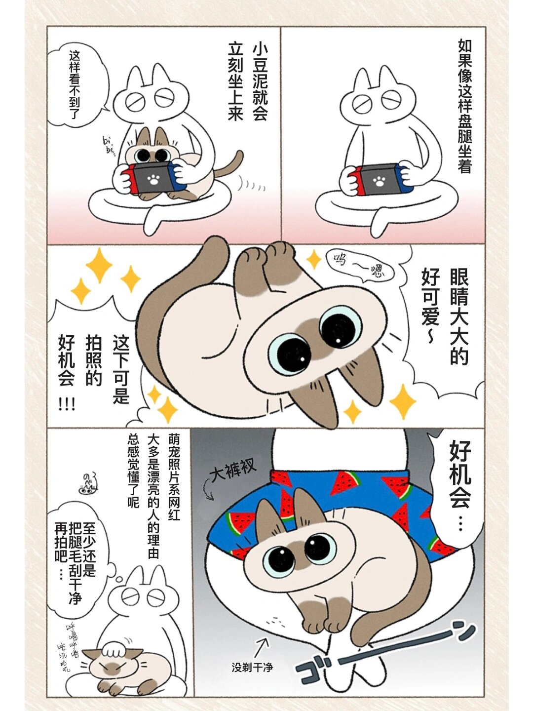 暹罗猫小豆泥漫画 盘腿会吸引小豆泥