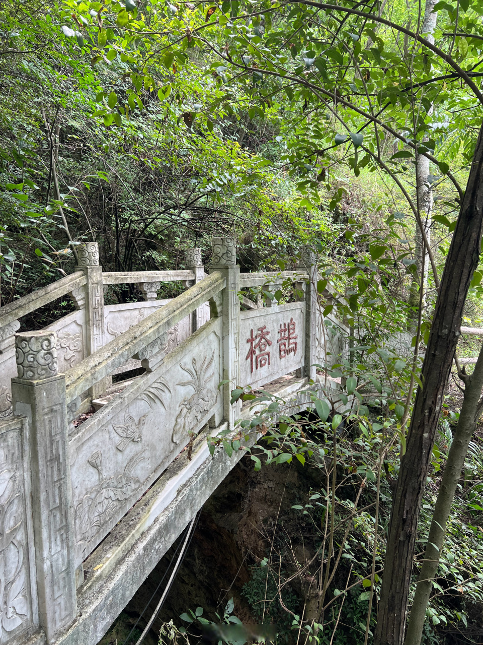 【一步一景,一景一瀑,龙潭河风景美如画】龙潭河景区位于郧西县羊尾镇