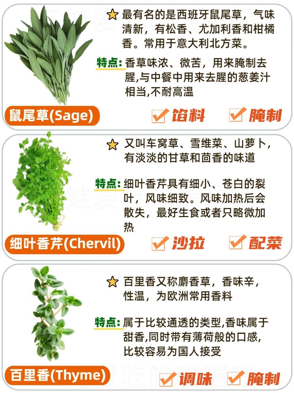 常见西餐香草的区别及用途91收藏这一篇就 西餐烹饪调味料有两大类