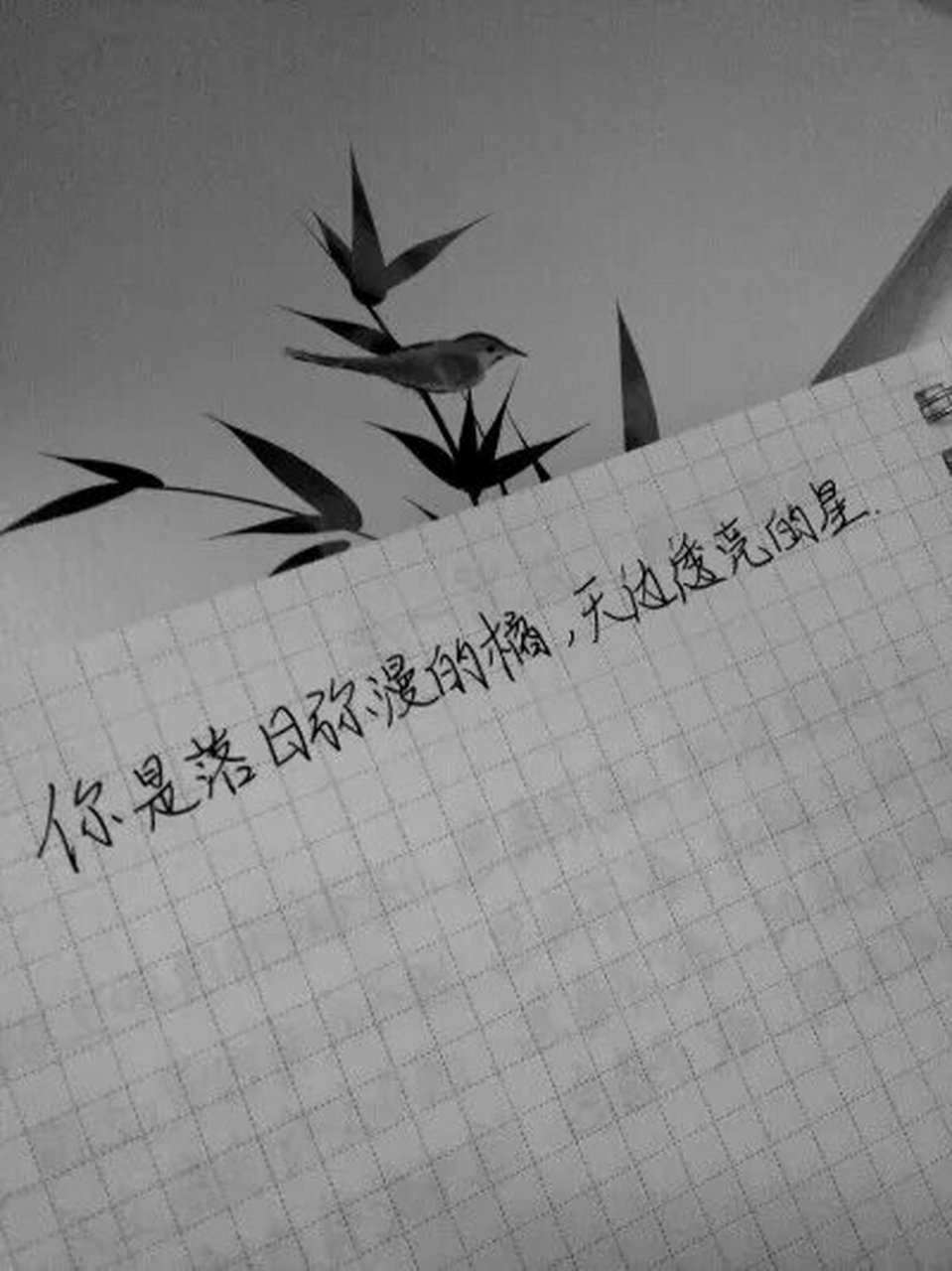 背景图带字感情图片