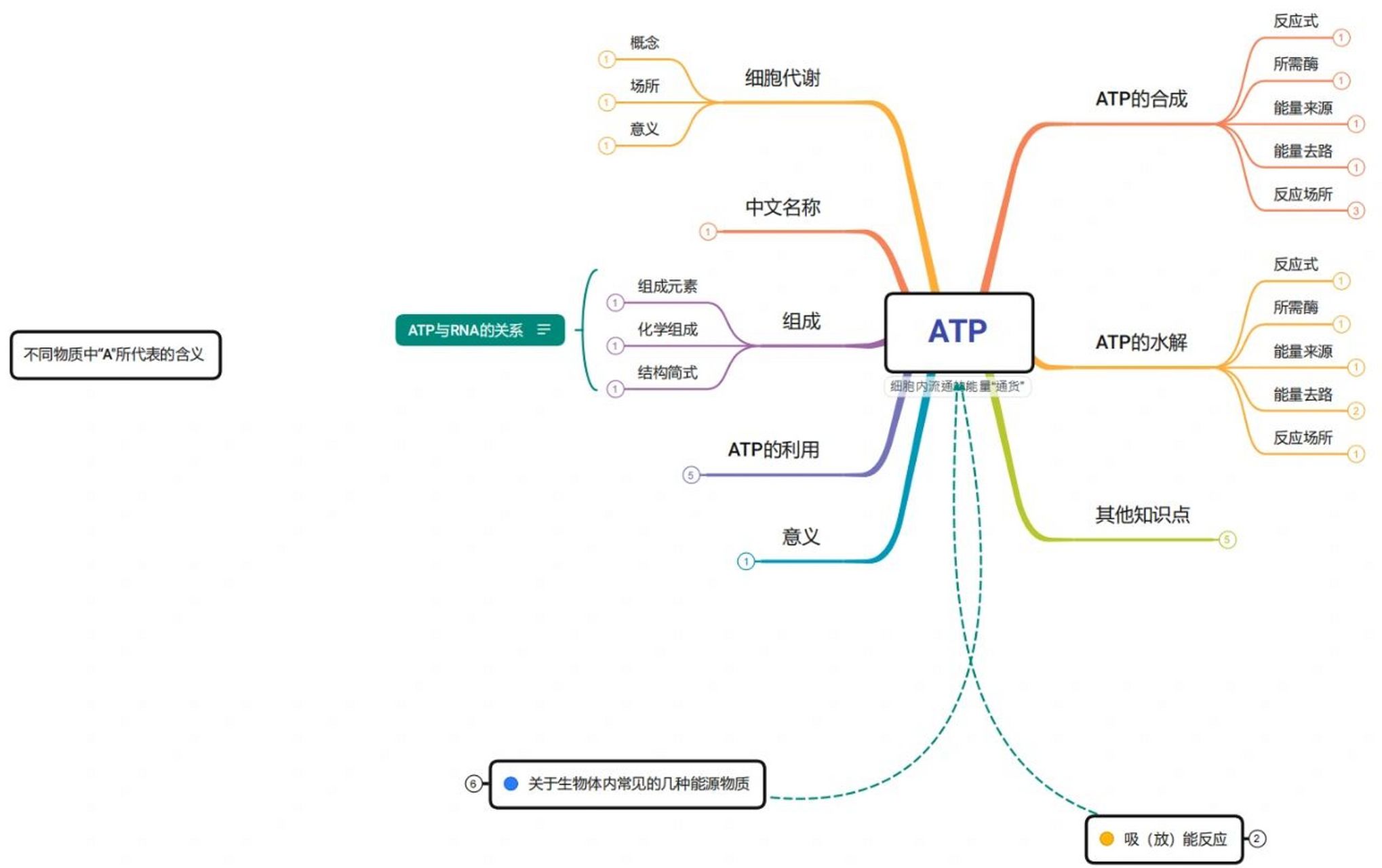高中生物atp思维导图 高中生物atp思维导图大纲 完整版.