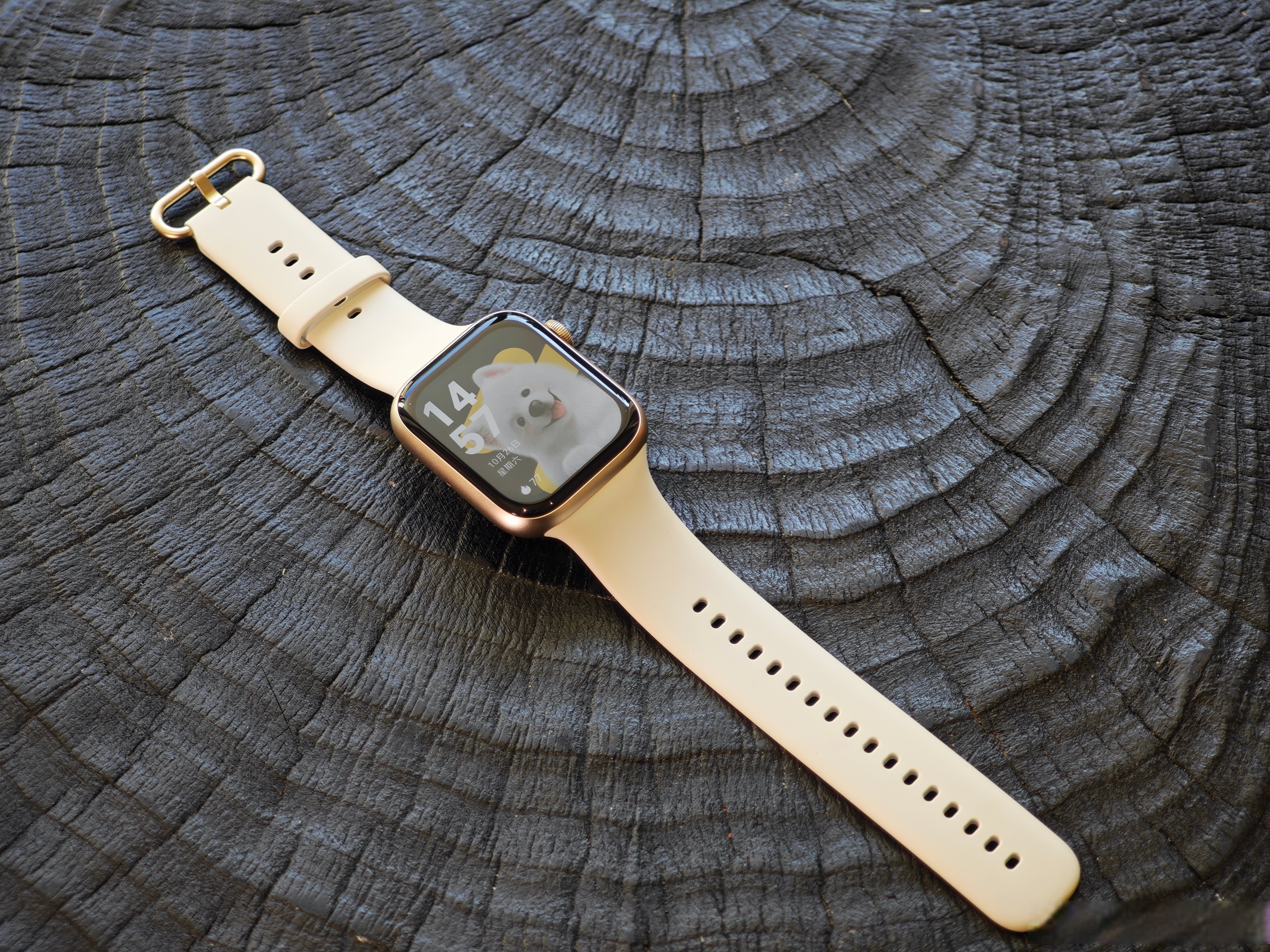 荣耀手表5这次是全方位升级,不仅有更精准的运动轨迹,更丰富的健康