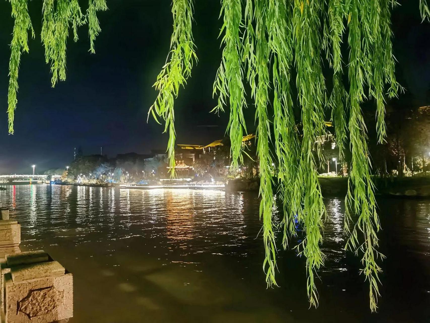 在扬州的夜晚, 沿着运河边走着, 偶遇一位卖花的姑