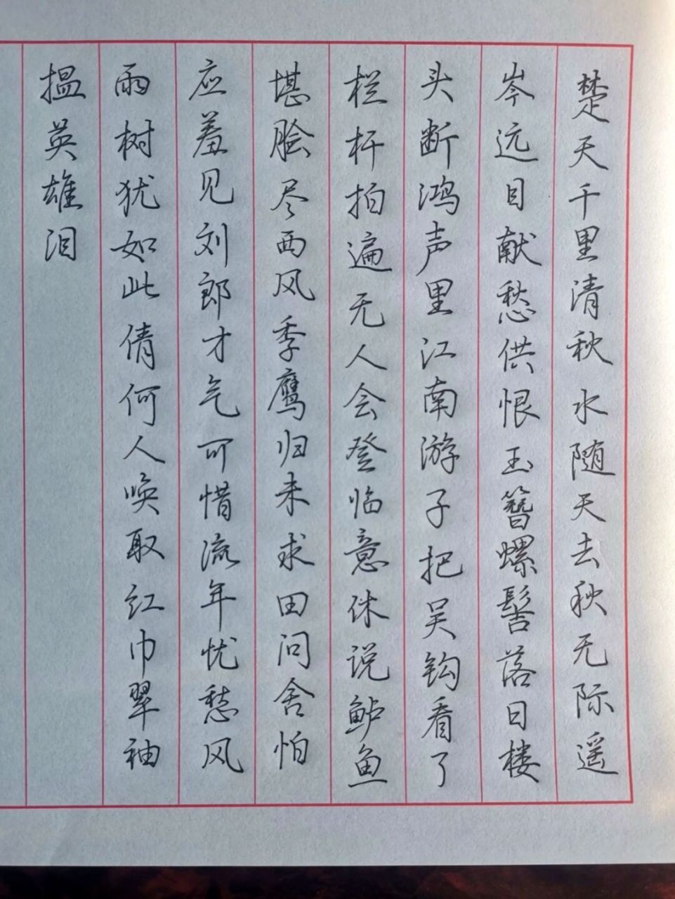 5 针管中性笔书写 辛弃疾《水龙吟·登建康赏心亭》 #练字